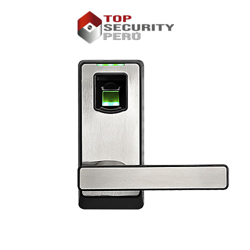 13. ZK PL10