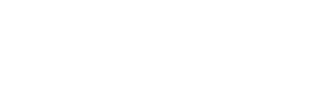 Logo Top Security Peru blanco